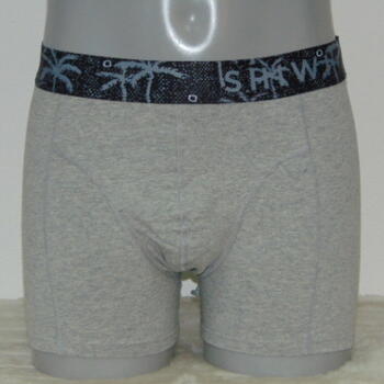 Shiwi Men's Palm Grey Boxer Short