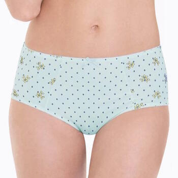 Anita Belvedere Blue/Print High Waist Brief