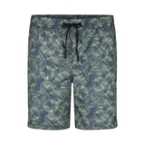  DJ DutchJeans Art green/print swimshort