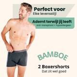 Bamboosa Lewis anthracite bamboo boxer short