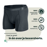 Bamboosa Lewis anthracite bamboo boxer short