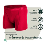 Bamboosa Lewis red bamboo boxer short