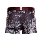 Mundo Unico Leno grey/print sport trunk