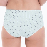 Anita Belvedere blue/print high waist brief