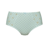 Anita Belvedere blue/print high waist brief