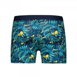 Beat My Boxer Toucan Jungle blue/print boxer short