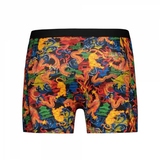 Beat My Boxer Dragon multicolor/print boxer short