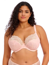 Elomi Lucie blush non-padded bra