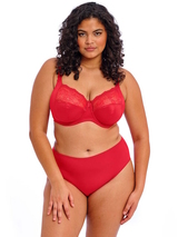 Elomi Smooth red brief