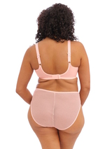 Elomi Charley pink non-padded bra