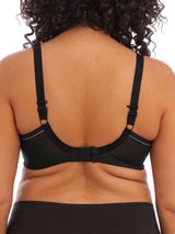 Elomi Bijou black padded bra