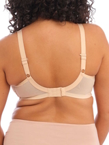 Elomi Bijou sand padded bra