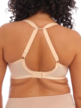 Elomi Bijou sand padded bra