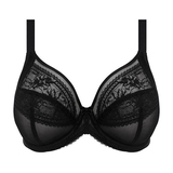 Elomi Kendra black padded bra